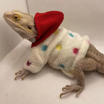 Bearded Dragon Hoodies 