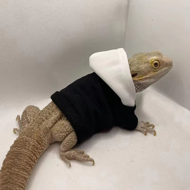 Bearded Dragon Hoodies 