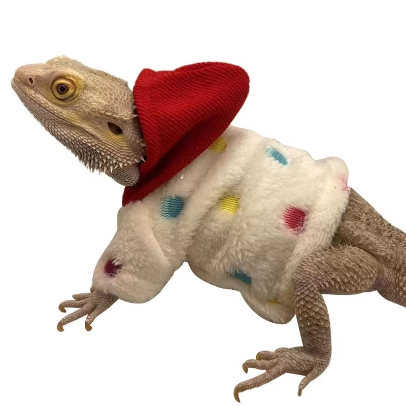 Bearded Dragon Hoodies 