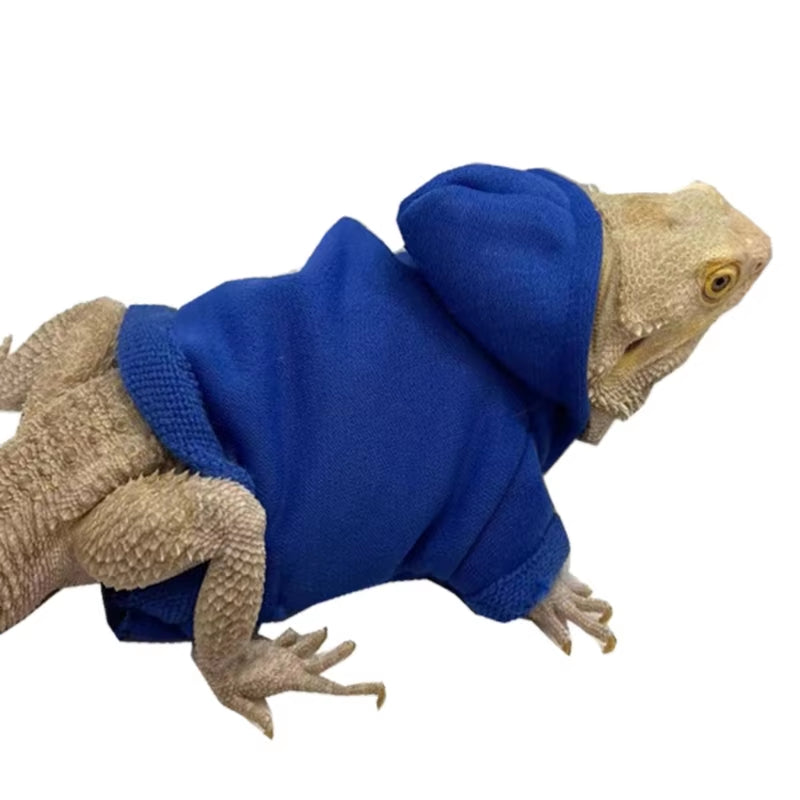 Bearded Dragon Hoodies 