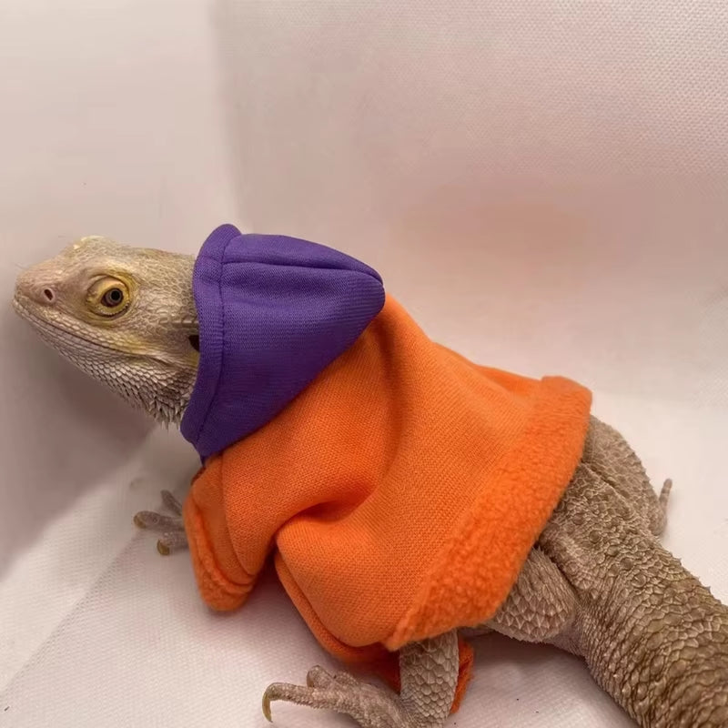 Bearded Dragon Hoodies 