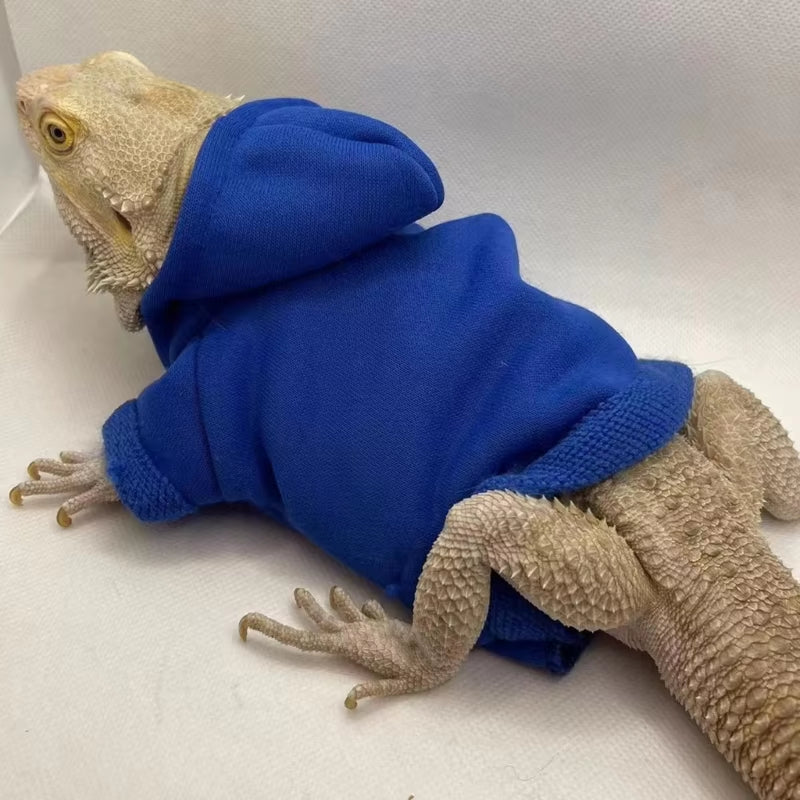 Bearded Dragon Hoodies 