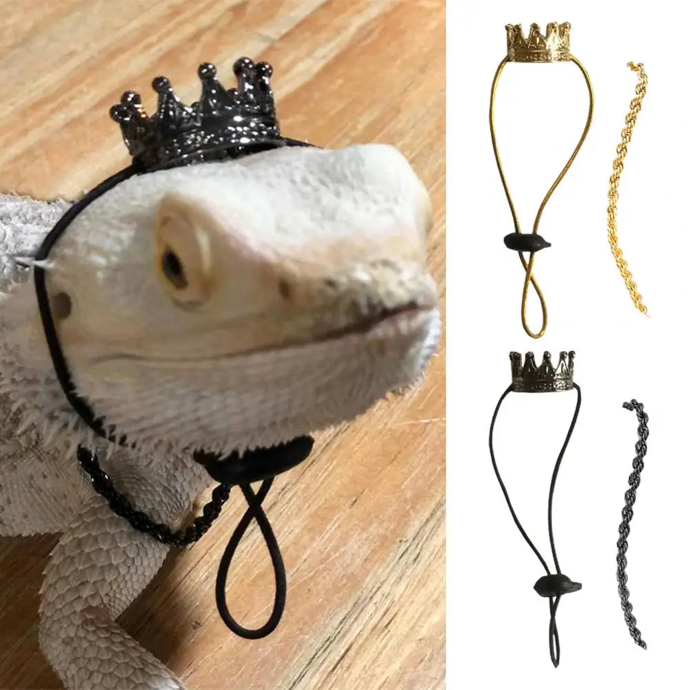 Kings Crown & Chain