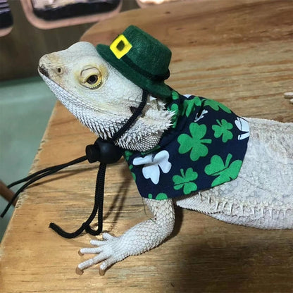 Saint Patrick's Day Outfit