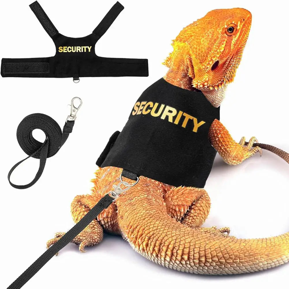 Security Vest & Leash