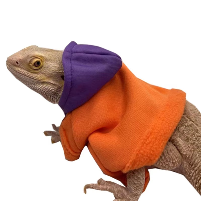 Bearded Dragon Hoodies 