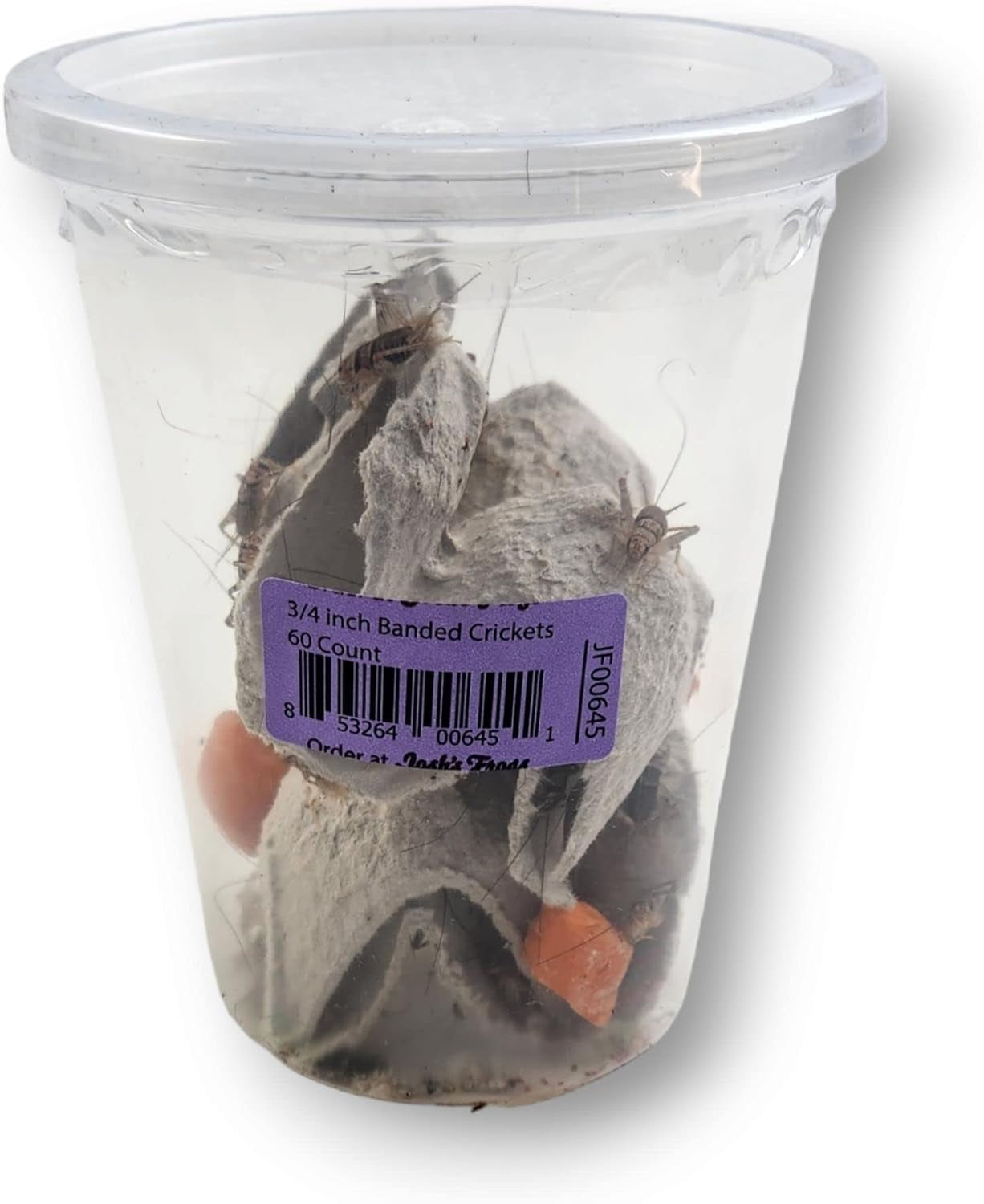 3/4" Banded Crickets (60 Count)